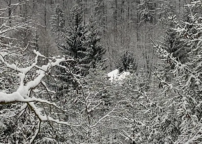 Apartment Eulennest Dippoldiswalde